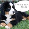 Profilbild von 아키나