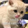 孟德大人 profil fotoğrafı