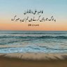 Habib ur rehman's profile picture