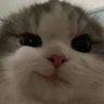 my_moon32's profile picture