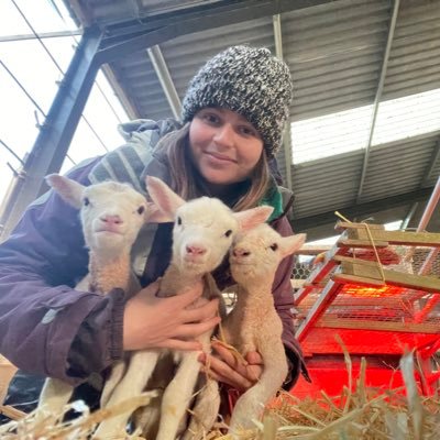 Dr Holly Vickery's profile picture