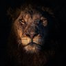 FRESH Sfi10clothing's profile picture