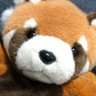 Profilbild von fuu