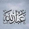 Фото профиля عبد الله المهيب(المهدى)الحقيقي