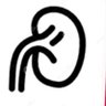 KidneyForCrypto's profile picture