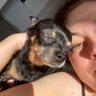 Kato's profile picture