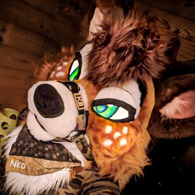 Nico_deer's profile picture