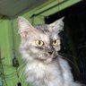 Marieโจ's profile picture
