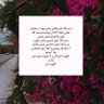 Фото профиля 🇸🇦