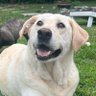 LuLu profil fotoğrafı