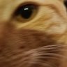 looloosue's profile picture