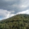 pumita azul profil fotoğrafı
