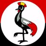 Profilbild von David katimbo