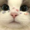 sama 的头像
