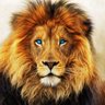 RoyalFlush's profile picture