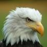 GuardTheRepublic 的头像