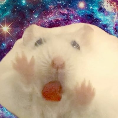 自慢のハムスター's profile picture