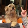 Daryl profil fotoğrafı