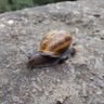 Eepy meepy profil fotoğrafı
