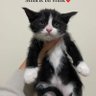 Asln Asln profil fotoğrafı