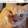 Jules4's profile picture