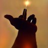 Hephzzybah_Republik๐๐งข's profile picture