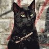 El Gato's profile picture