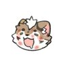 辉白小老虎🐯's profile picture