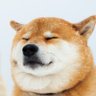 Profilbild von 柴犬