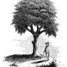 Liberty Tree profil fotoğrafı