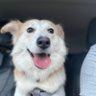 RudyRockDD4's profile picture