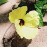 Фото профиля okinbola