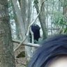 まざいぼうず profil fotoğrafı
