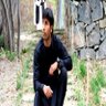 Shir Azizi's profile picture