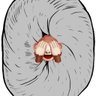 Profilbild von Ima