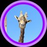 Profilbild von もけ