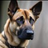 Pheonix007's profile picture