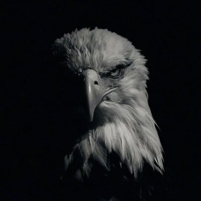 g's profile picture