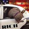 Фото профиля Rich EagleGuy
