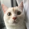 Profilbild von vanilla🤭@pernod1226