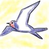 つばめ's profile picture