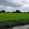 Фото профиля สงบนิ่งและสงบสุข