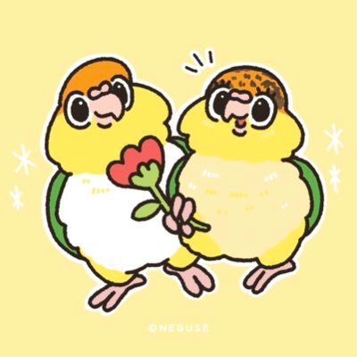 マヨさん's profile picture