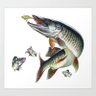 Фото профиля Musky