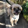 結城紬's profile picture