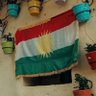 Dlovan Kurdi's profile picture