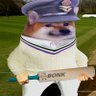 🇺🇦🇬🇧CaptWOTWOTDSOnBAR🇺🇦🇬🇧's profile picture