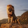 Hermyishere profil fotoğrafı