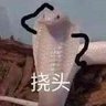 叶子's profile picture