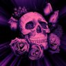norza boy's profile picture